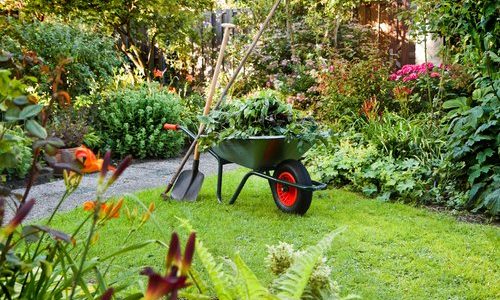 Garden Cleaning